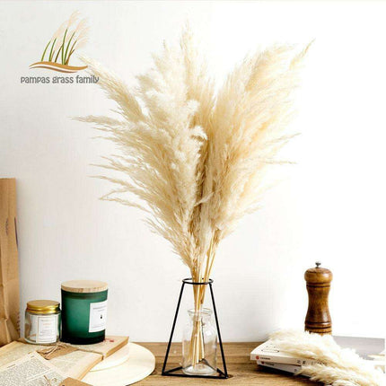 Elegant Vintage White Pampas Grass Bouquet - A Touch of Timeless Charm