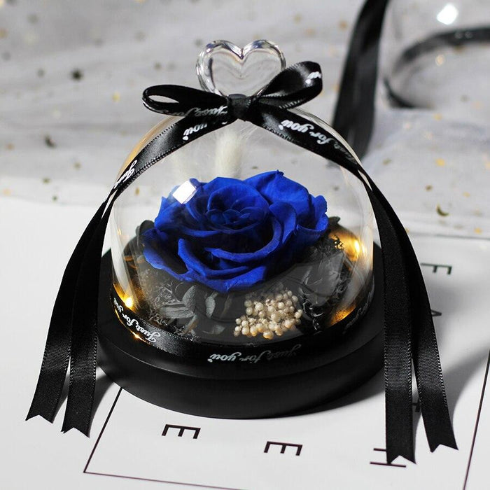 Eternal Love Preserved Rose in Glass Dome with Lights - Perfect Gift for Valentine's Day