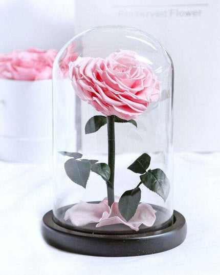 Eternal Elegance: Heart-Shaped Preserved Roses in Glass Dome