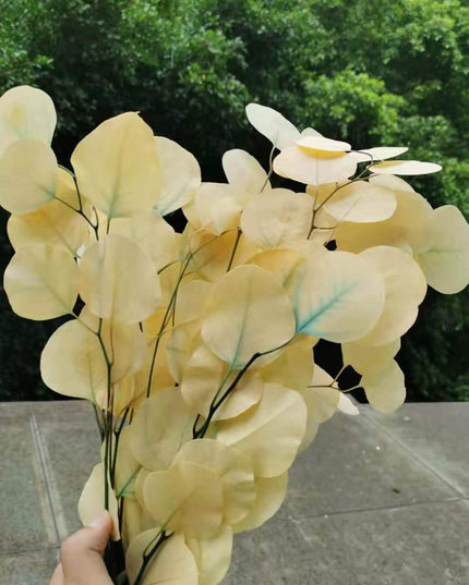 Eucalyptus Elegance - A Lasting Essence for Celebrations and Home Decor