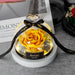 Eternal Roses Glass Dome with LED Lights - Timeless Elegance for Special Occasions