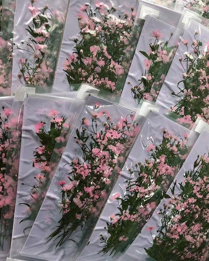 Dried Pink Gypsophila Flower Bundle - 250 Pressed Pieces for Crafting