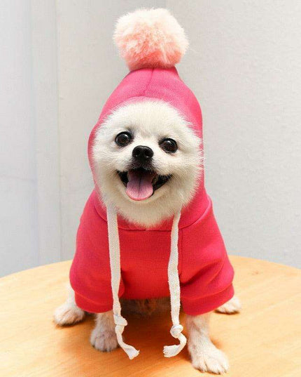 Chic Hooded Winter Jacket for Small Dogs - Fashionable Warmth for Tiny Tails