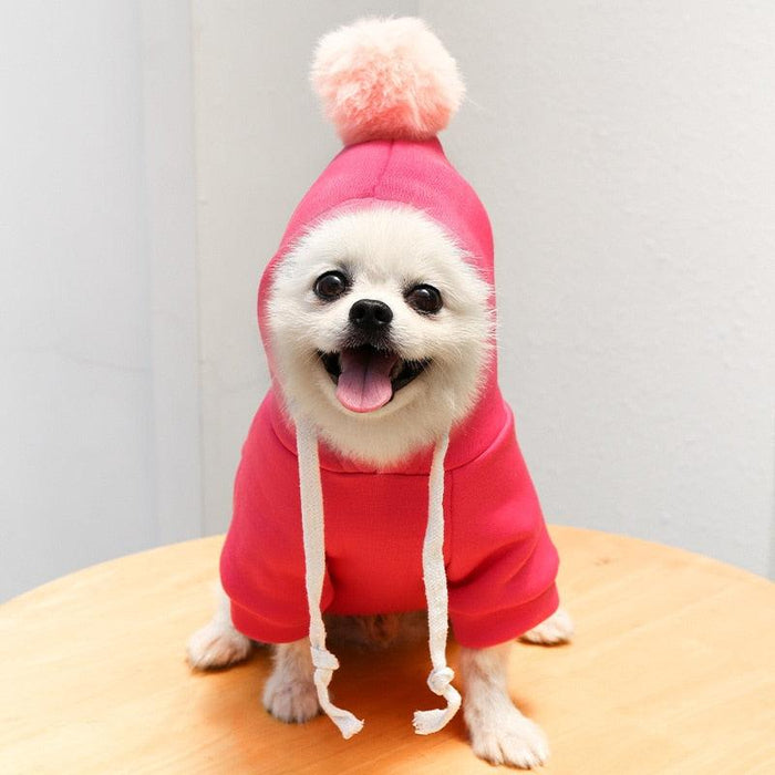 Cute Fruit Dog Coat Hoodies Fleece Pet Dogs Costume Jacket-Pet Supplies›Dogs›Apparel & Accessories›Cold Weather Coats-Très Elite-1 Rose Red-XS-Très Elite