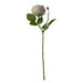 Austin Big Rose Silk Flowers Set - Set of 5 Single Head Flowers