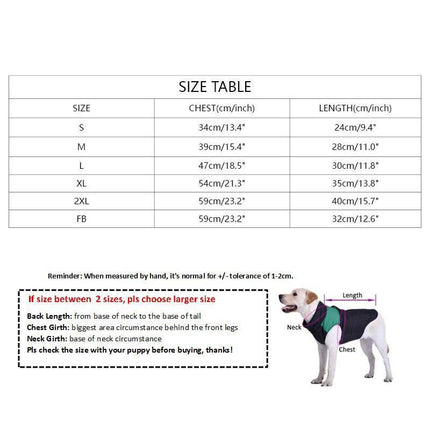 Summer Chic for Small Dogs: Trendy Attire for Petite Pups