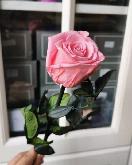Eternal Elegance Preserved Rose Stem - The Perfect Gift for Weddings, Home Decor & Mother's Day