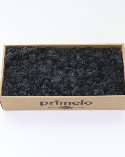 Lush Green Moss Wall Art: Nature's Timeless Beauty