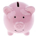 Cute Ceramic Piggy Bank - Classic Money-Saving Keepsake
