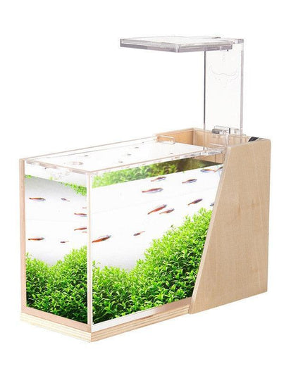 Sustainable Mini Aquarium with Customizable LED Lighting