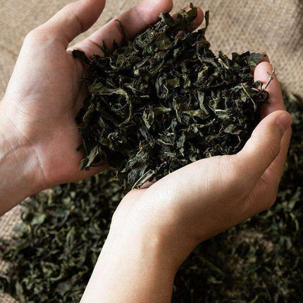 Hemp & Green Tea Vegan Facial Cream - Ultimate Acne Defense & Hydration Formula.