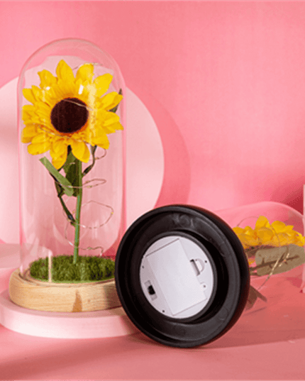 Magical Illuminated Rose in Glass Dome - Elegant Romantic Decor