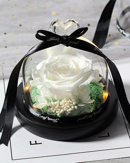 Eternal Elegance: Illuminated Glass Enchanted Rose