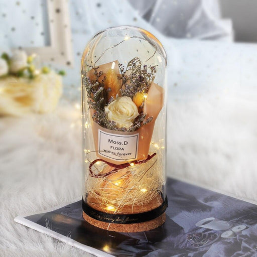 Beauty and The Beast Real Rose In Glass Dome LED Exclusive Dried Flower