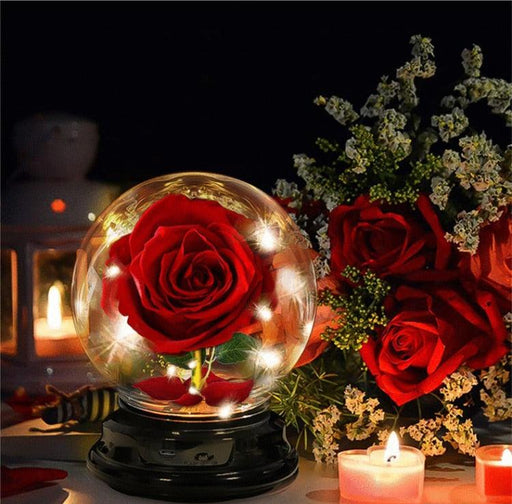 Eternal Glow LED Flower Dome - Enchanting Preserved Rose with Illuminating LED