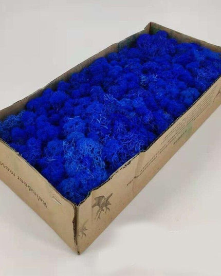 Lush Green Moss Wall Art: Nature's Timeless Beauty