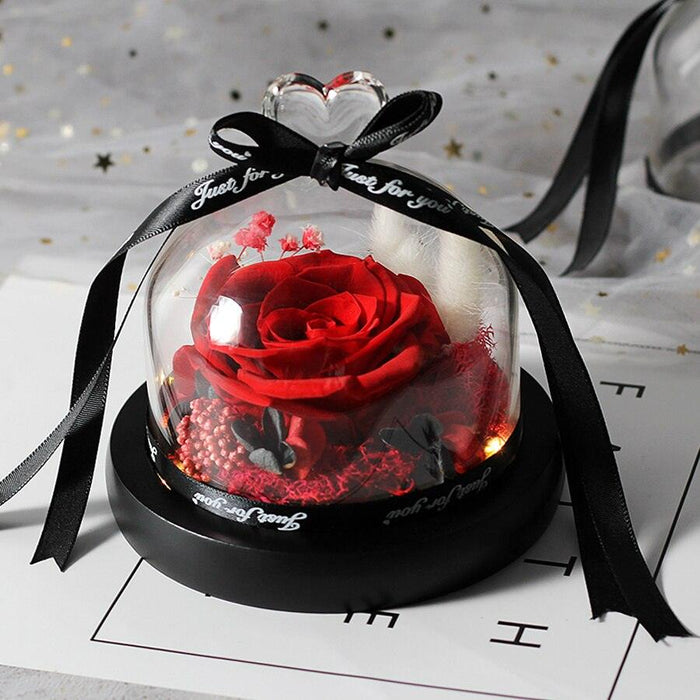 Eternal Love Elegance: Preserved Rose in Illuminated Glass Dome