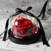 Eternal Elegance: Illuminated Glass Enchanted Rose