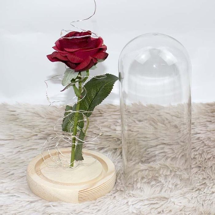 Elegant Glass Cloche Preserved Red Pink Rose Centerpiece