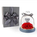 Timeless Elegance LED Glass Dome with Everlasting Carnation Rose - Perfect Romantic Gift for Valentine's Day