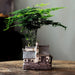 Zen Oasis: East Asian Bamboo Ceramic Flowerpot for Tranquil Living