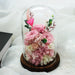 Eternal Charm: Luxurious Rose in Glass Dome Display