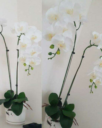 Luxurious Large Faux Orchid Display - Premium Home Décor Elegance