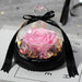 Forever Blooming Rose in Enchanted Glass Dome - Enduring Symbol of Affection