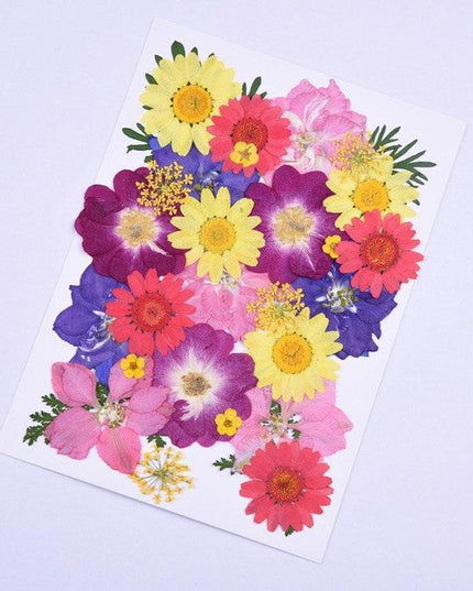 Luxurious Pressed Floral Collection: Aesthetic Inspirations for Creative Projects