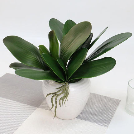 Realistic Orchid Leaf Replicas: High-Quality Latex for Elegant Floral Displays