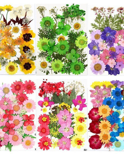 Luxurious Pressed Floral Collection: Aesthetic Inspirations for Creative Projects