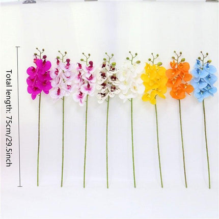 Elegant Phalaenopsis Orchid Arrangement in Pot: Enhance Your Home Decor