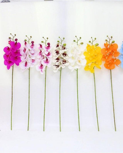 Elegant Phalaenopsis Orchid Arrangement in Pot: Enhance Your Home Decor