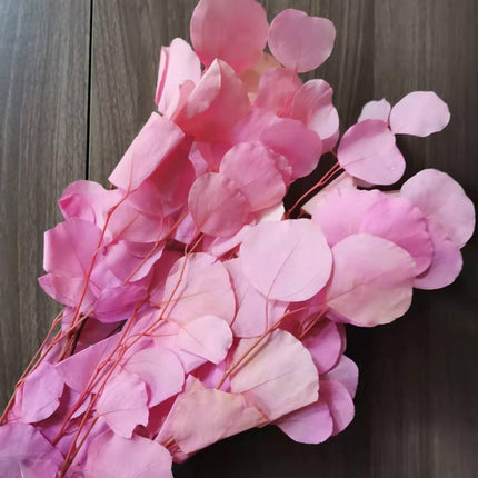 Eucalyptus Elegance - A Lasting Essence for Celebrations and Home Decor