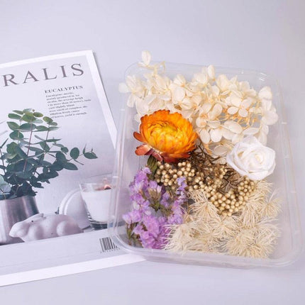 Eternal Floral Inspirations: Preserved Petals for Creative Expressions