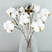 Elegant White Cotton Flowers Bundle - Decorative Floral Stems Set