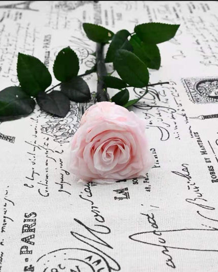 Eternal Elegance Preserved Rose Stem - The Perfect Gift for Weddings, Home Decor & Mother's Day