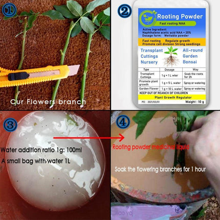 Bonsai Growth Catalyst: Root Strengthener & Flower Booster