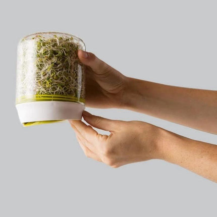 Home Glass Sprouting Kit for Year-Round Freshness - Très Elite