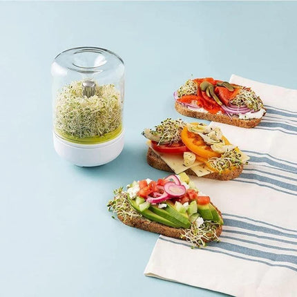 Home Glass Sprouting Kit for Year-Round Freshness - Très Elite