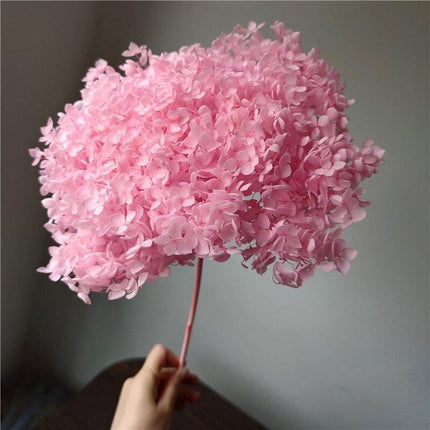 Hydrangea Elegance: Ultimate Dried Flower Arrangement Kit..