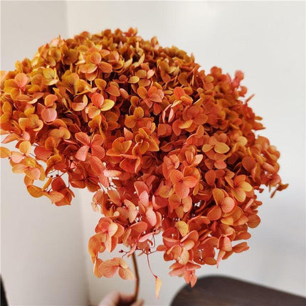 Hydrangea Elegance: Ultimate Dried Flower Arrangement Kit..