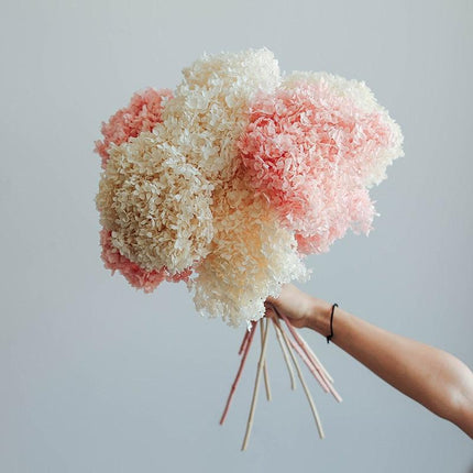 Hydrangea Elegance: Ultimate Dried Flower Arrangement Kit..