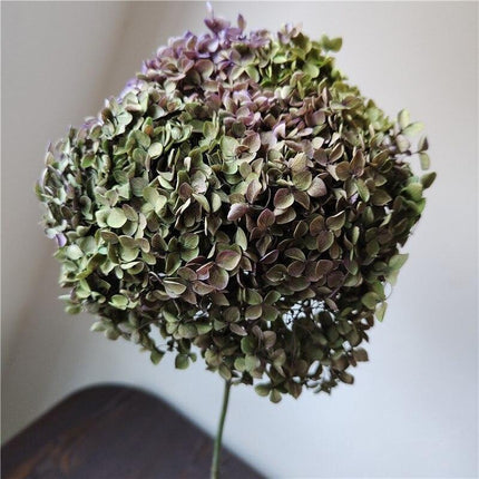Hydrangea Elegance: Ultimate Dried Flower Arrangement Kit..