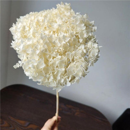 Hydrangea Elegance: Ultimate Dried Flower Arrangement Kit..