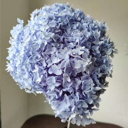 Hydrangea Elegance: Ultimate Dried Flower Arrangement Kit..