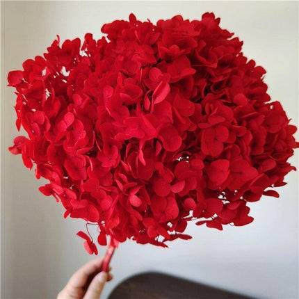 Hydrangea Elegance: Ultimate Dried Flower Arrangement Kit..