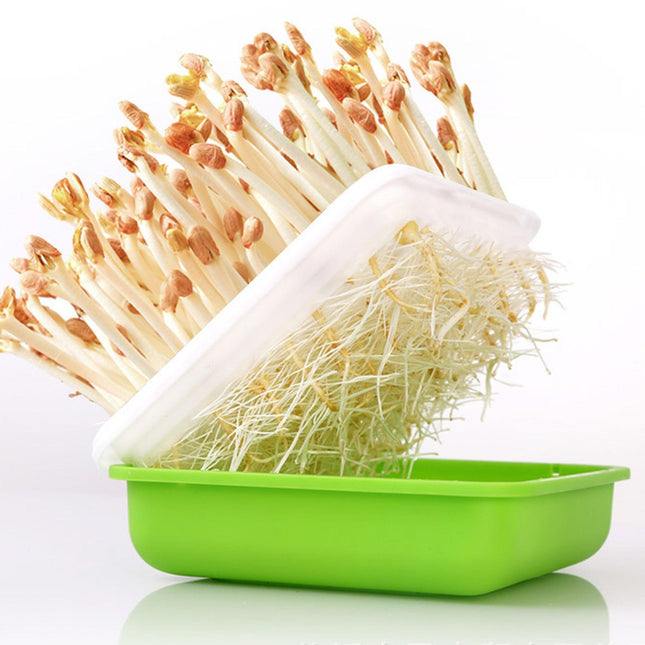 Hydroponic Peanut Sprout Growing Kit with Complete Tray System for Home Gardening