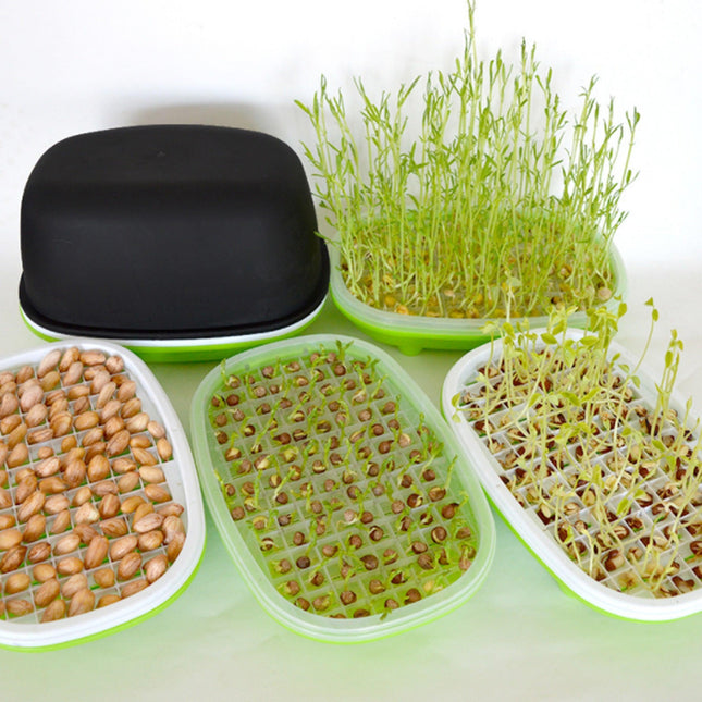 Hydroponic Peanut Sprout Growing Kit with Complete Tray System for Home Gardening