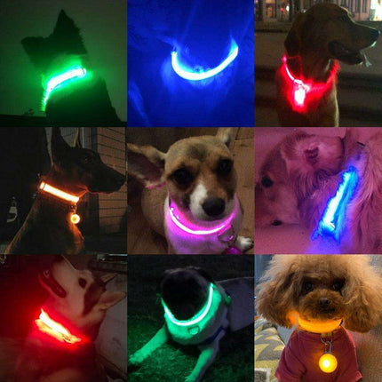 Illuminate & Protect: Rechargeable Waterproof LED Dog Collar for Enhanced Nighttime Safety - Très Elite